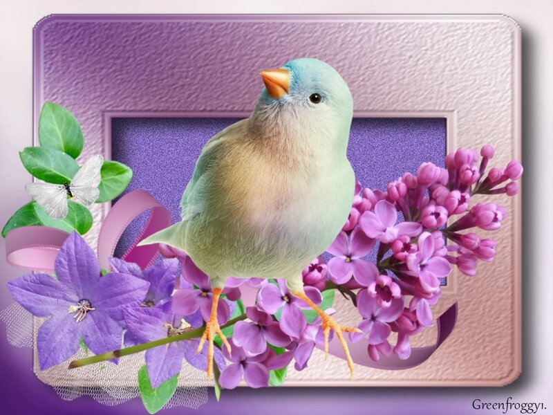 Blue Bird on Flowers — Purple