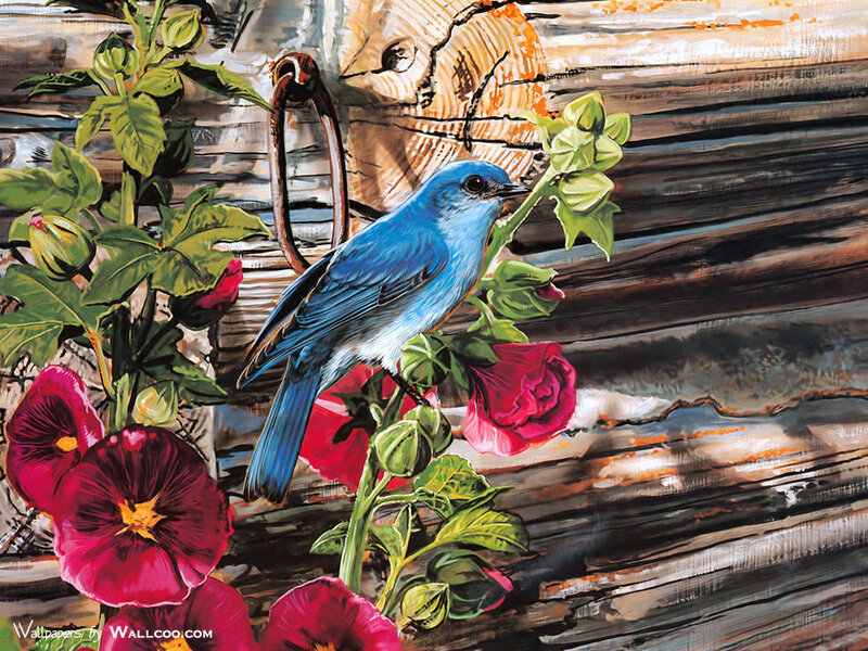 Blue Bird on Flowers — Serene