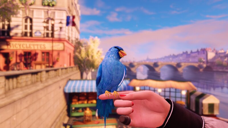 Blue Bird on Hand