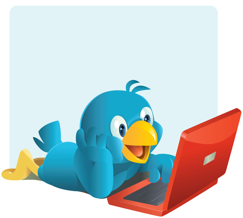 Blue Bird on Laptop