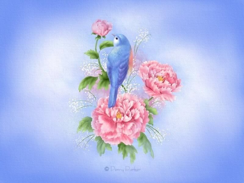 Blue Bird on Peonies