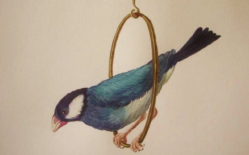 Blue Bird on Perch — Calm