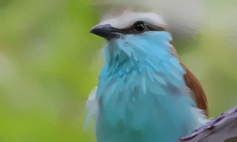 blue bird portrait