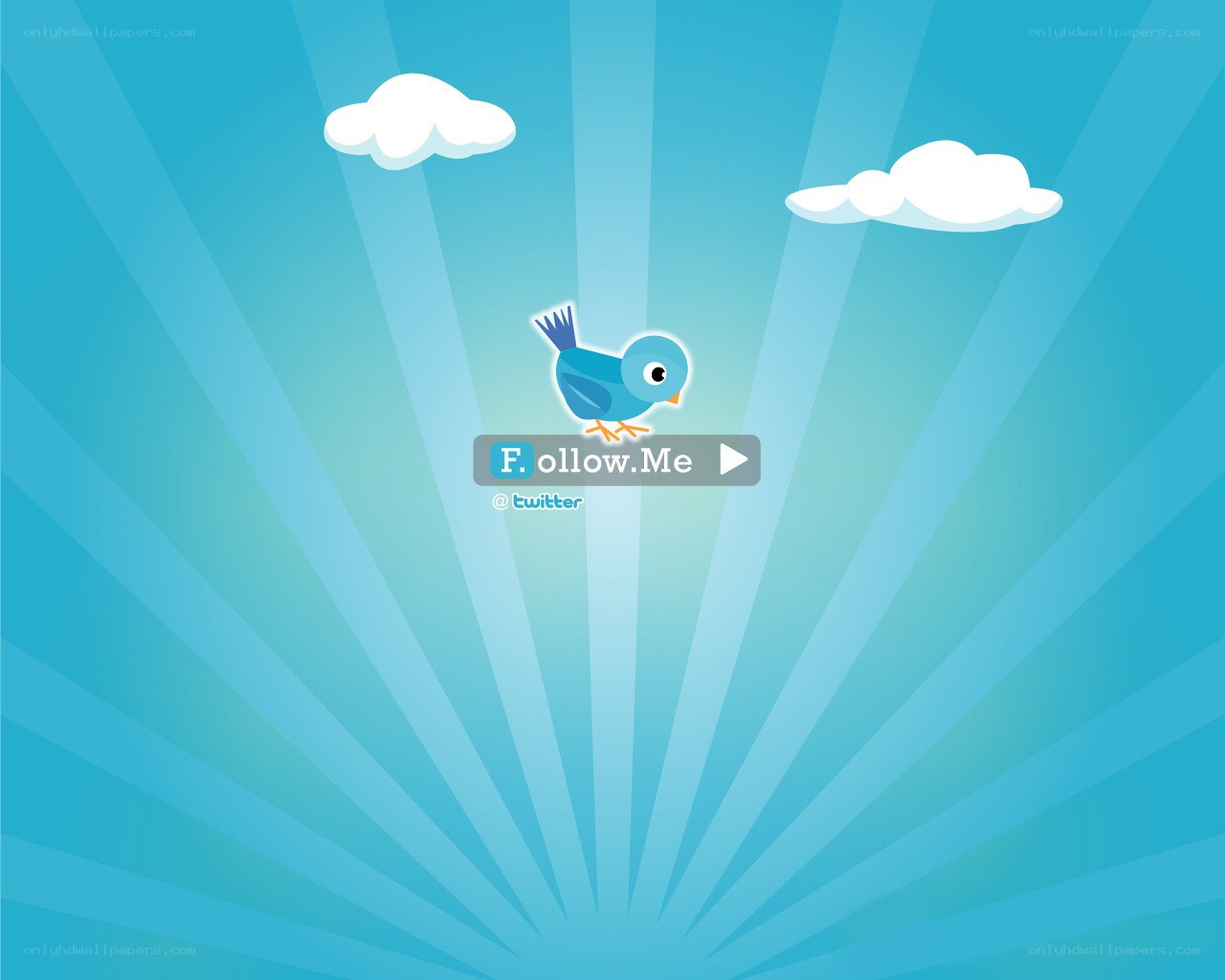blue bird with follow me button