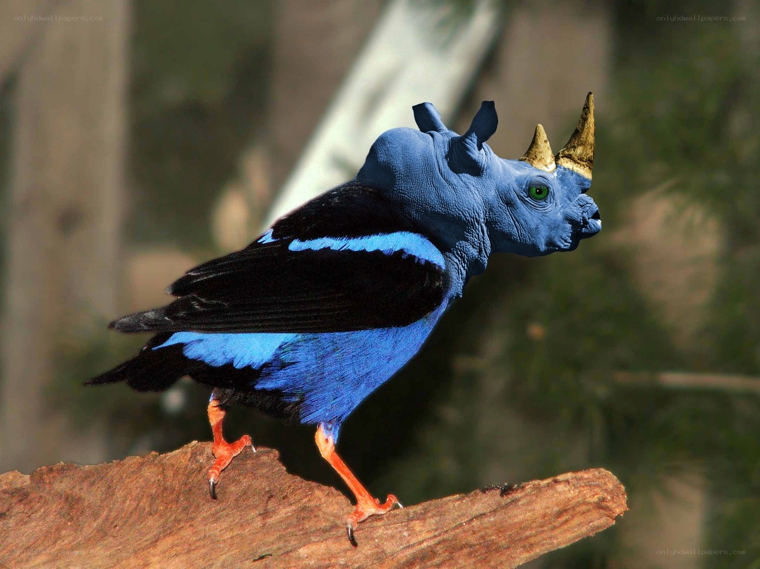 blue bird with rhino head