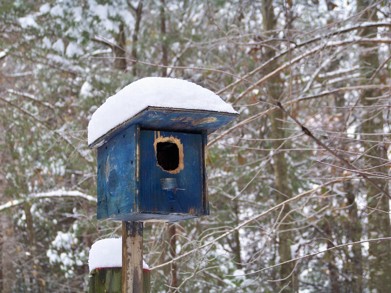 Blue Birdhouse in Snow