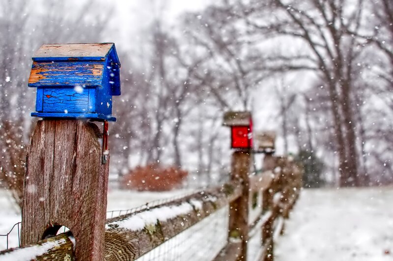 Blue Birdhouse on Fence