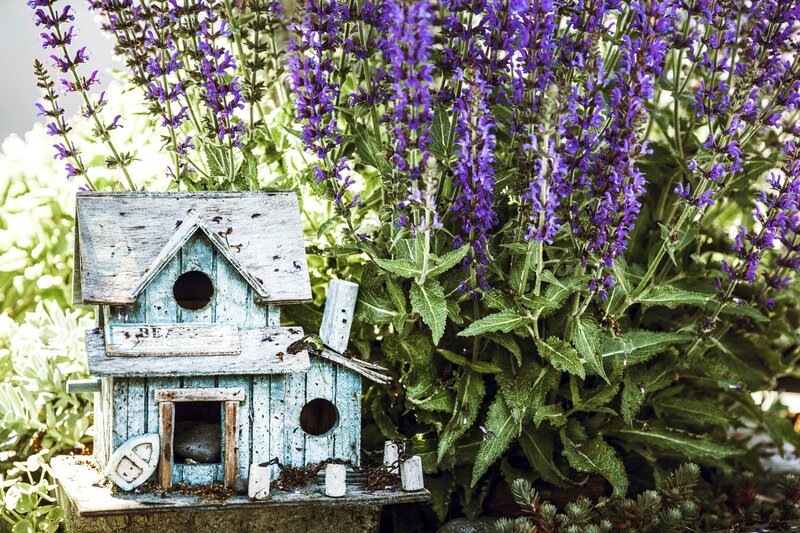 Blue Birdhouse with Flowers