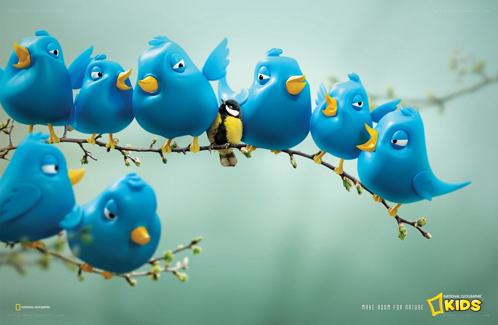 Blue birds on a branch