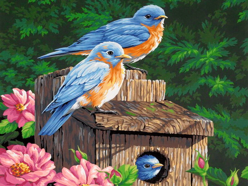 Blue Birds on Birdhouse