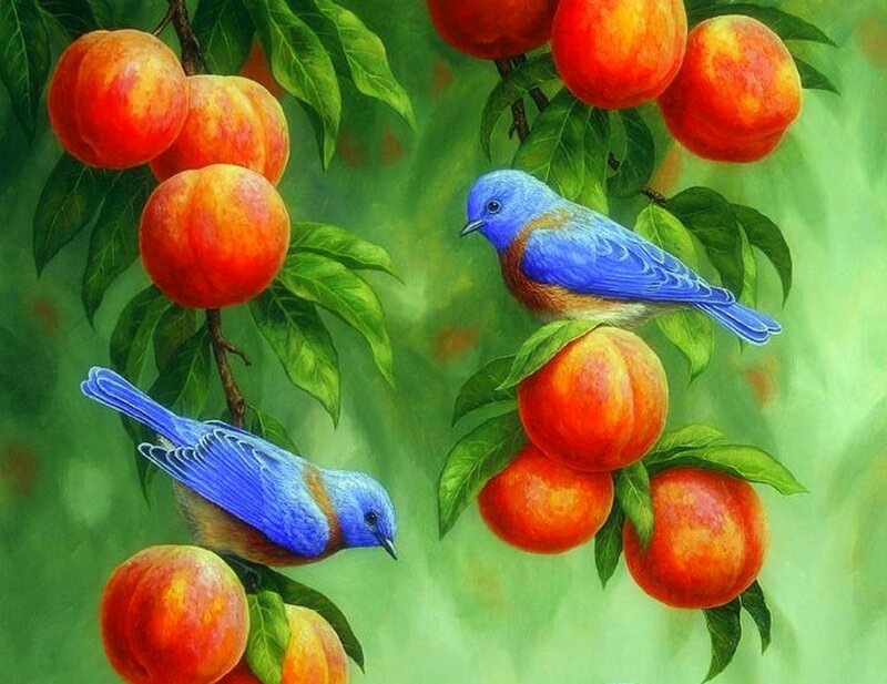Blue Birds on Peach Tree