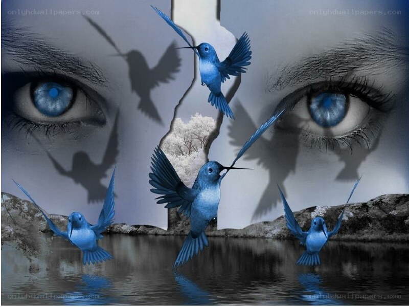 Blue birds over a face