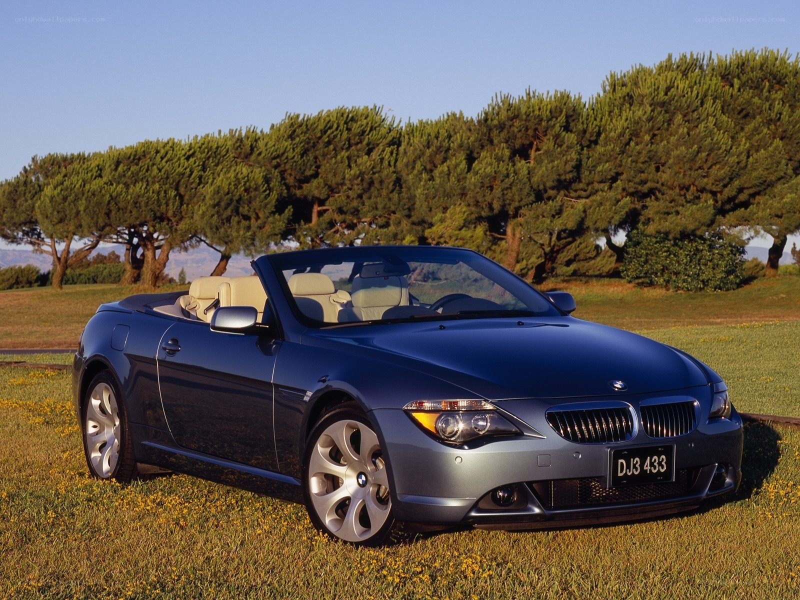 Blue BMW convertible on grass
