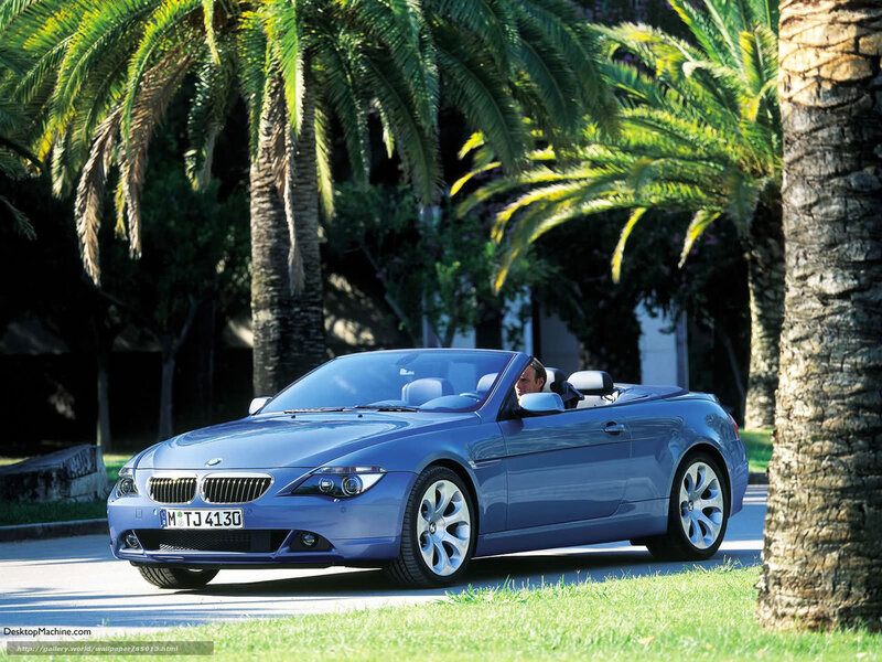 Blue BMW convertible on palm-lined road