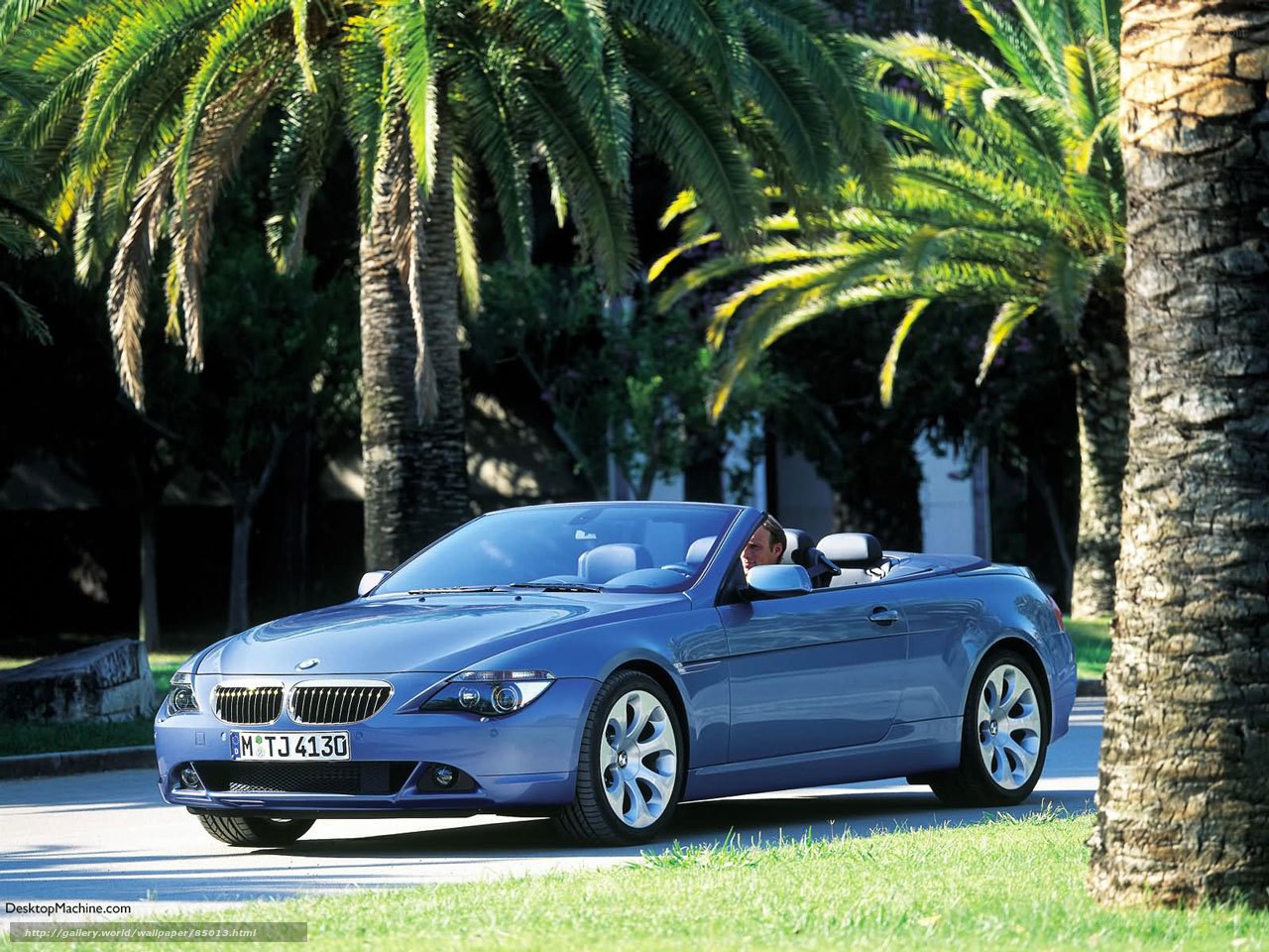 Blue BMW convertible on palm-lined road
