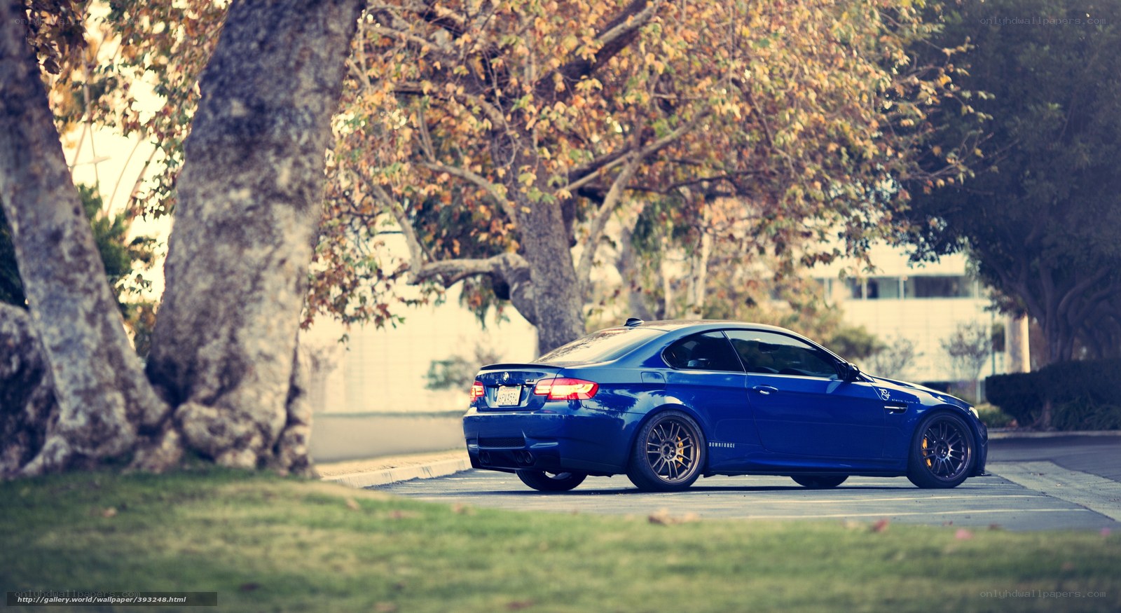 blue bmw coupe on street