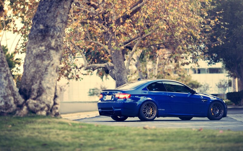 Blue BMW Coupe — Serene, Autumn