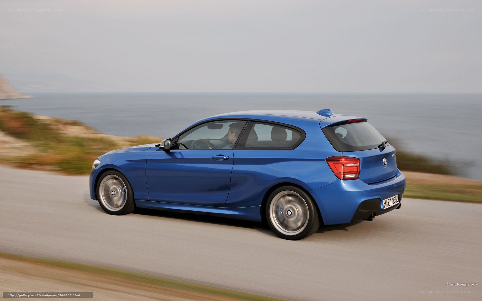 blue bmw driving on coastal road