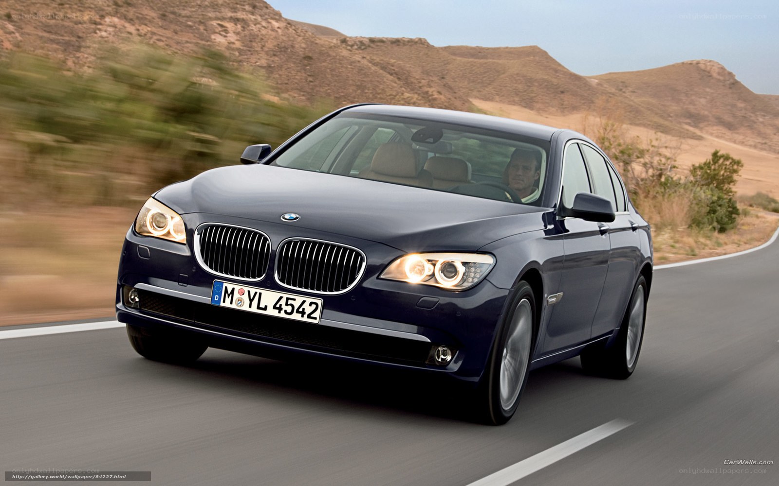 blue bmw driving on road