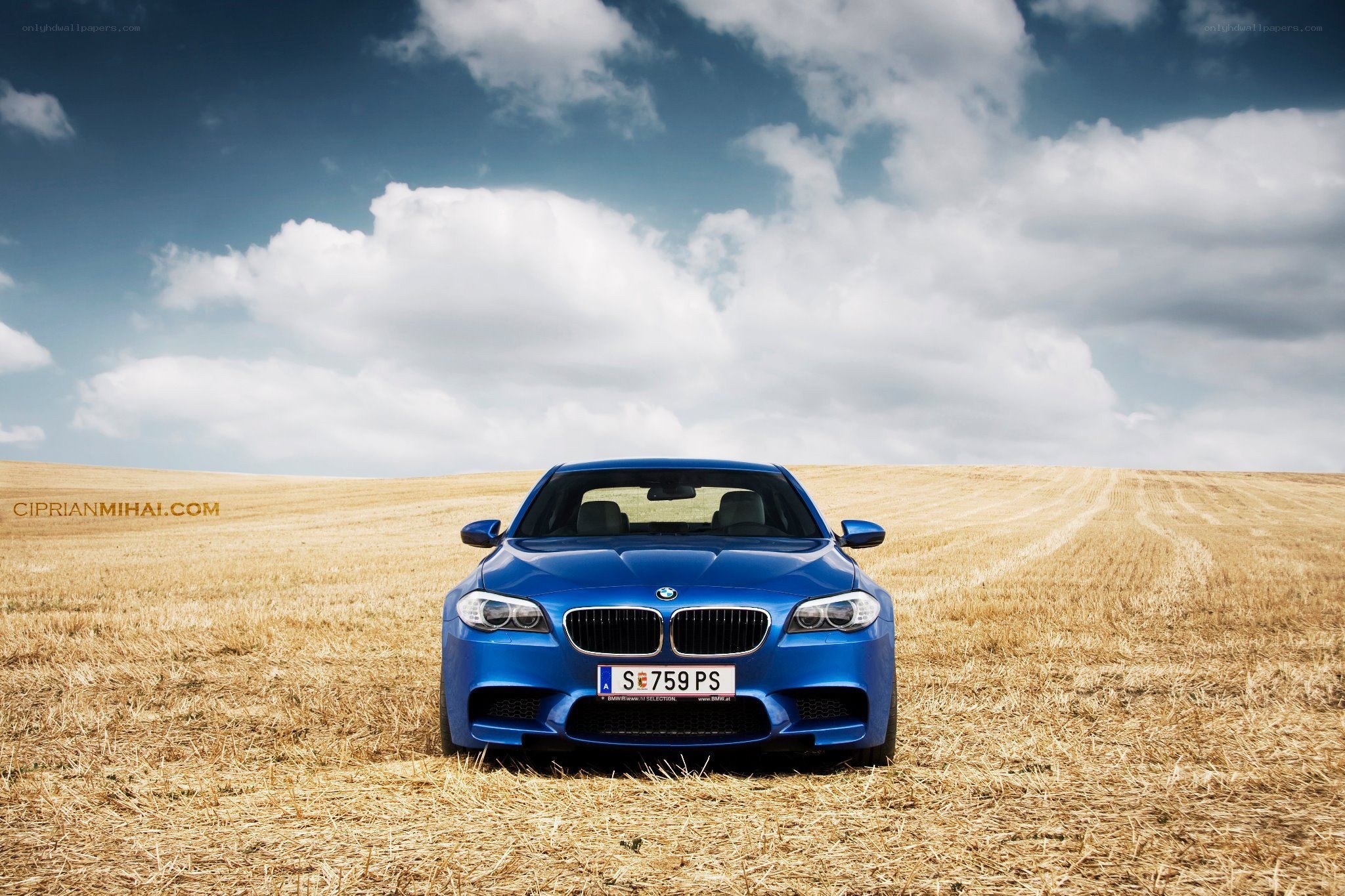 Blue BMW in a field