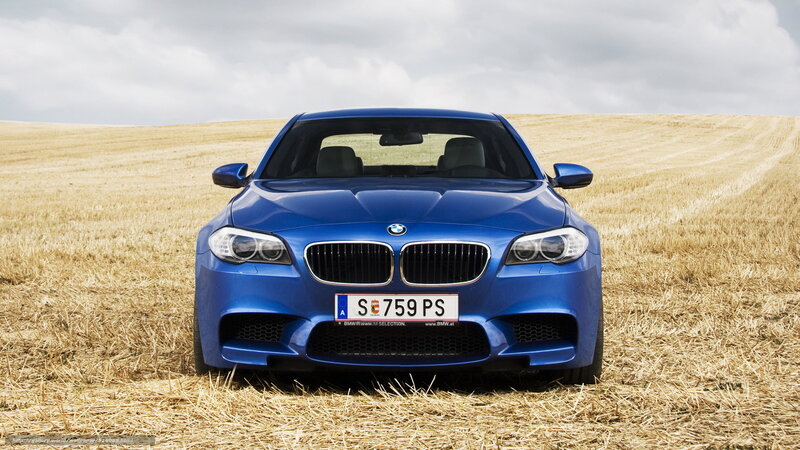 Blue BMW in a field