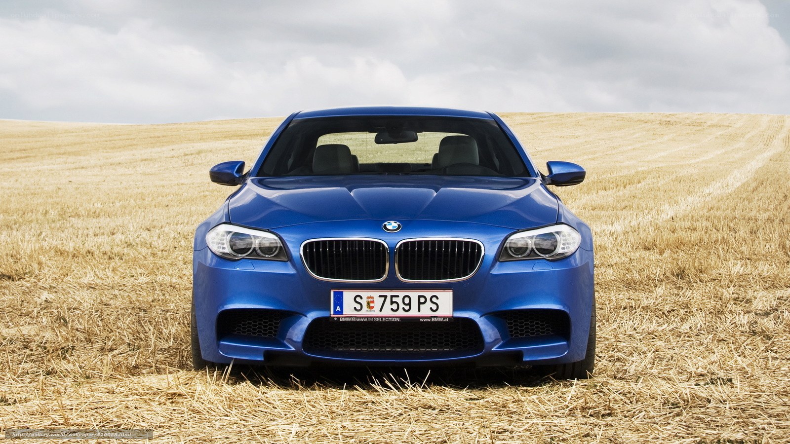Blue BMW in a field
