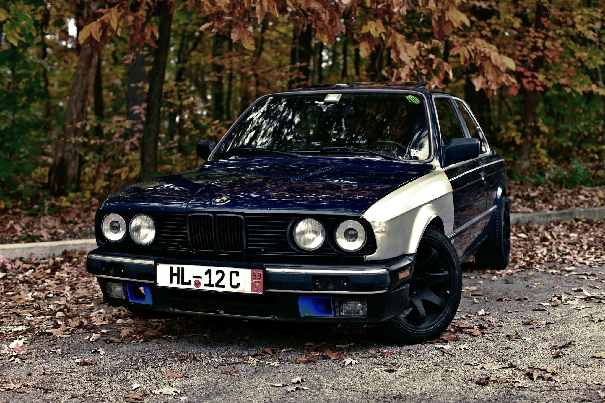 blue bmw in autumn forest
