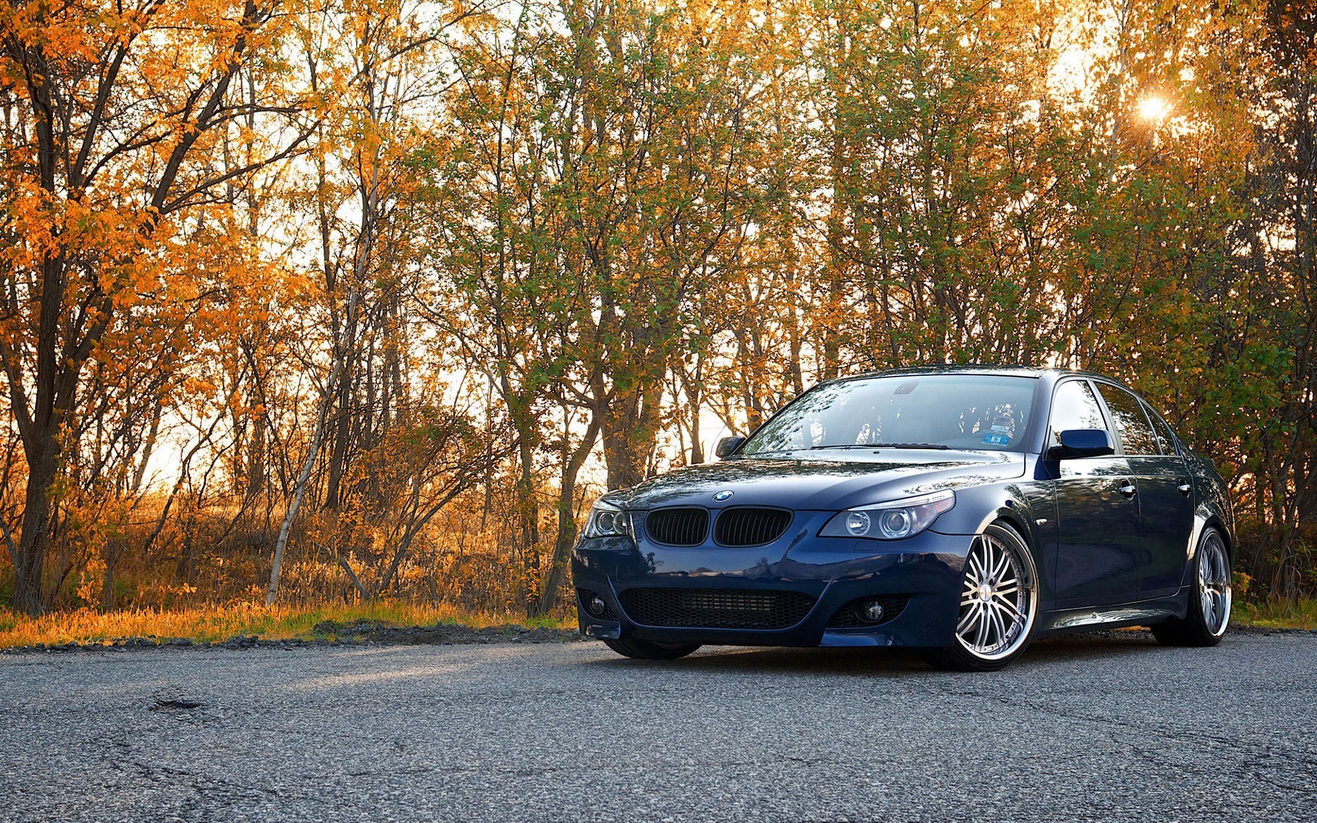 Blue BMW in autumn forest