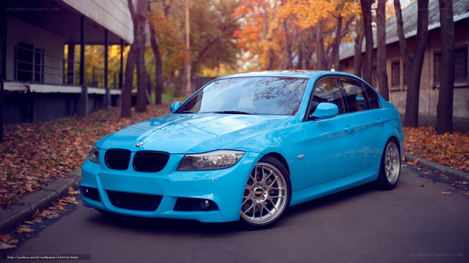 Blue BMW in autumn