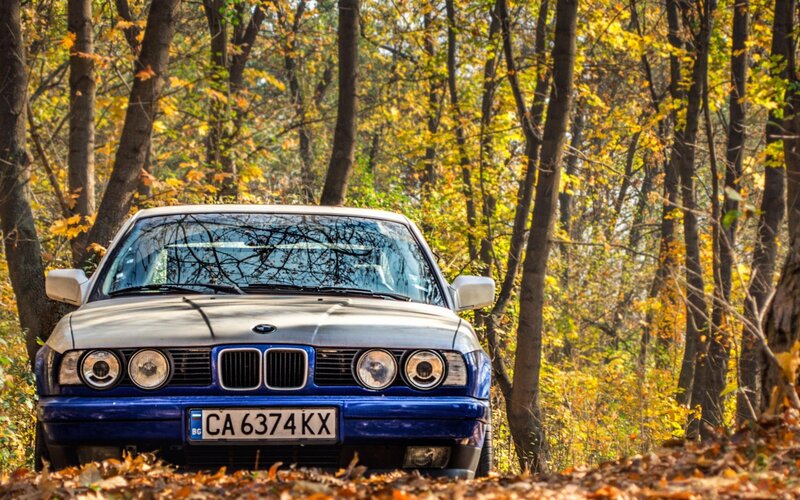 Blue Bmw in Forest
