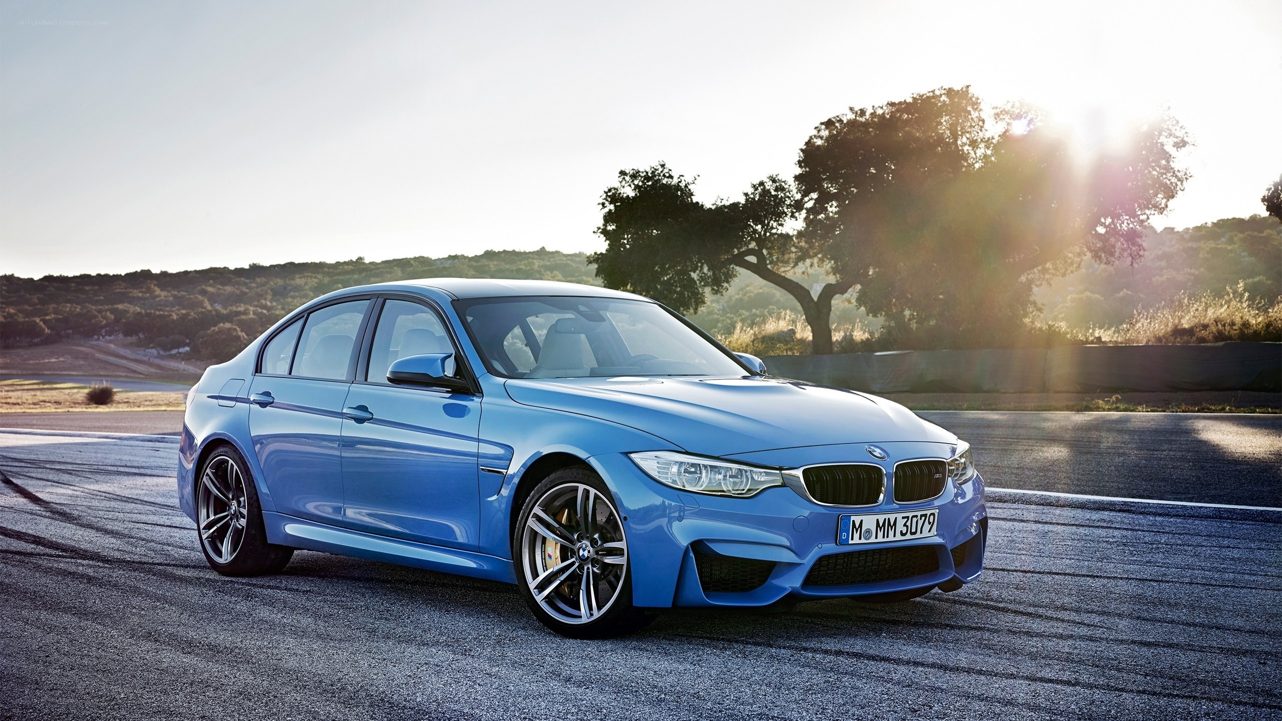 Blue BMW M3 on a racetrack