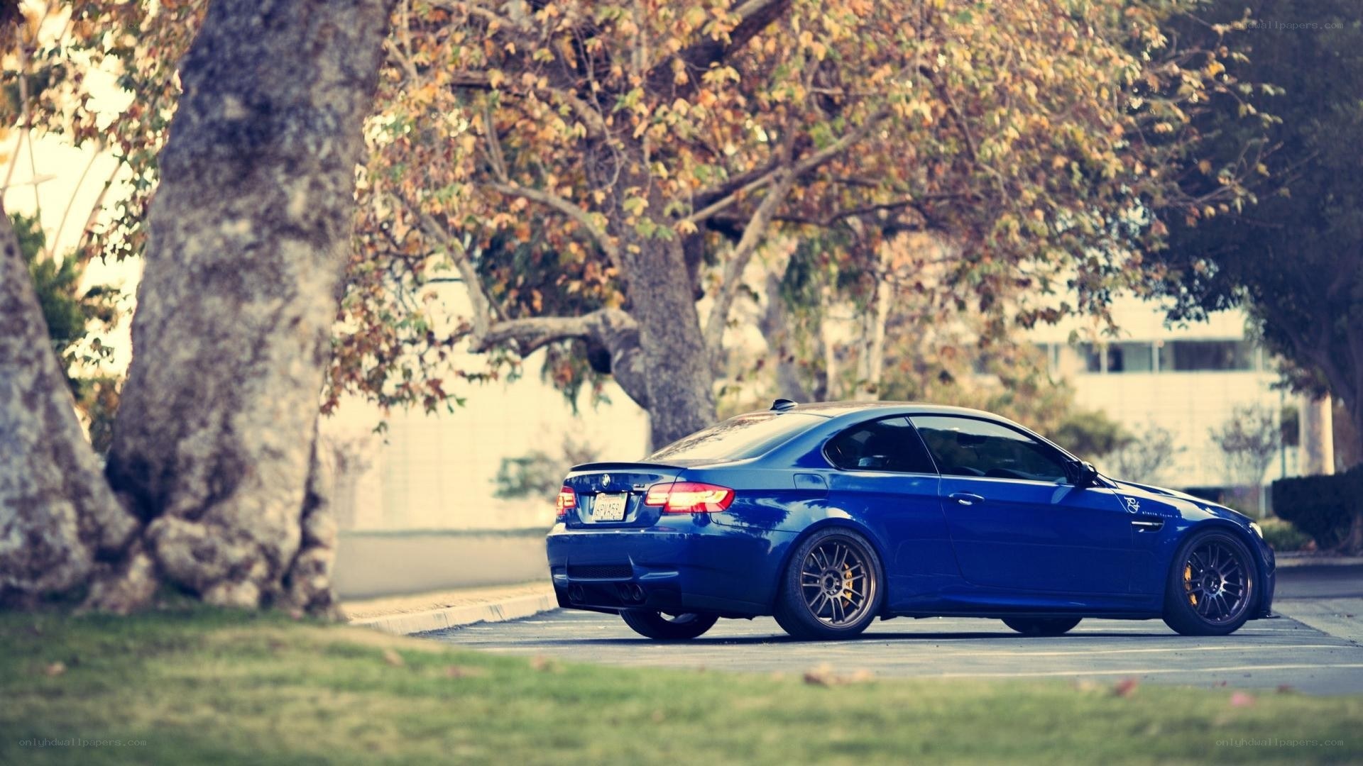 blue bmw m3 on a tree-lined street