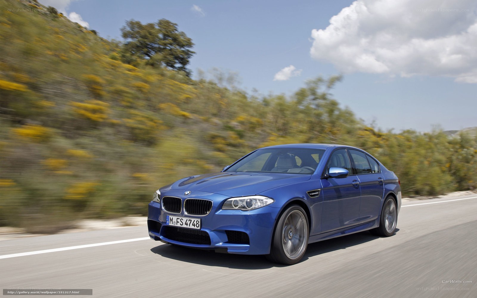 blue bmw m5 driving on road