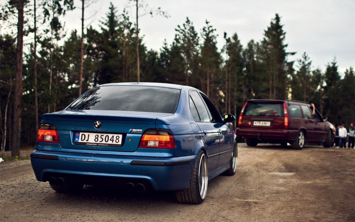 Blue BMW M5 in forest
