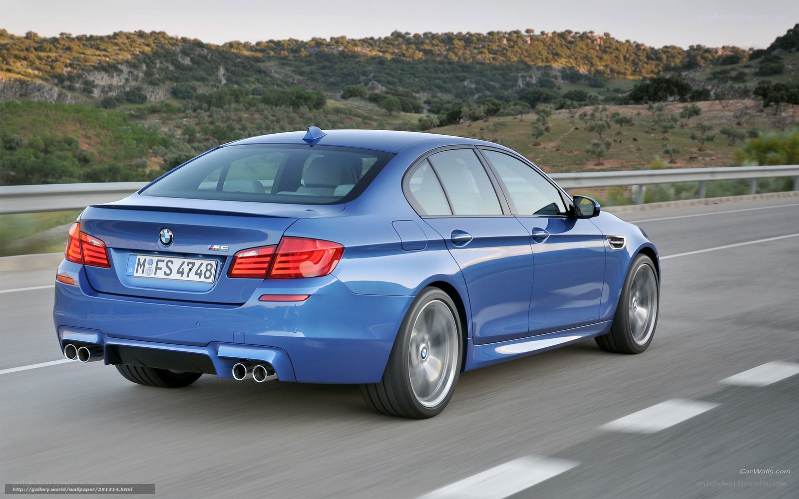 blue bmw m5 on a road