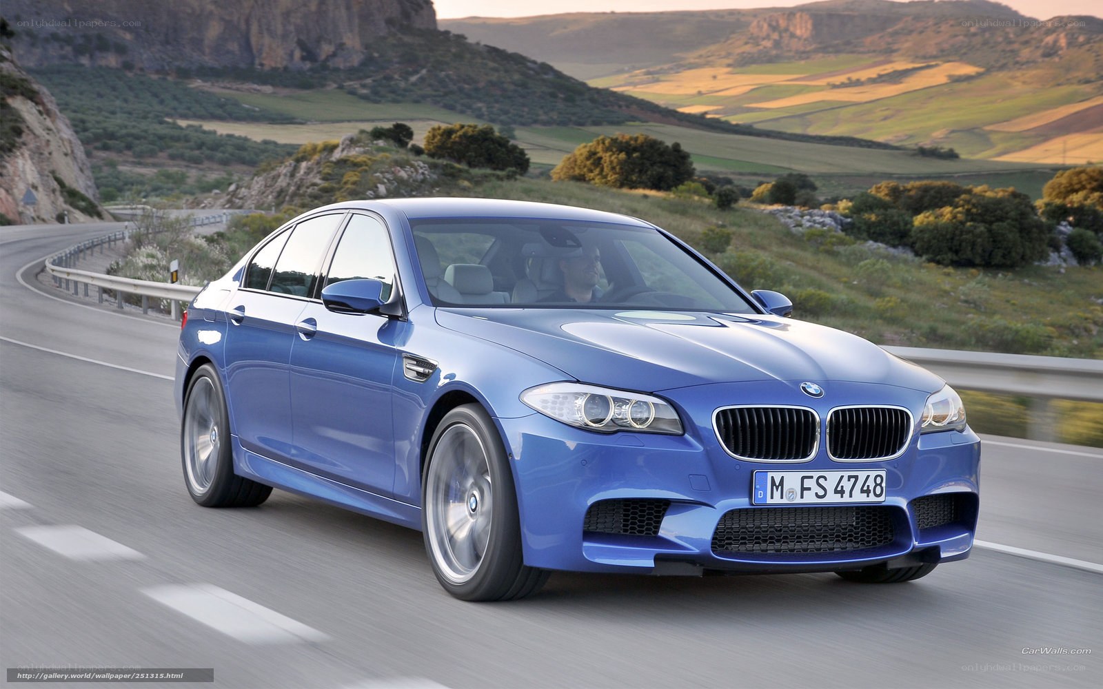 Blue BMW M5 on a winding road