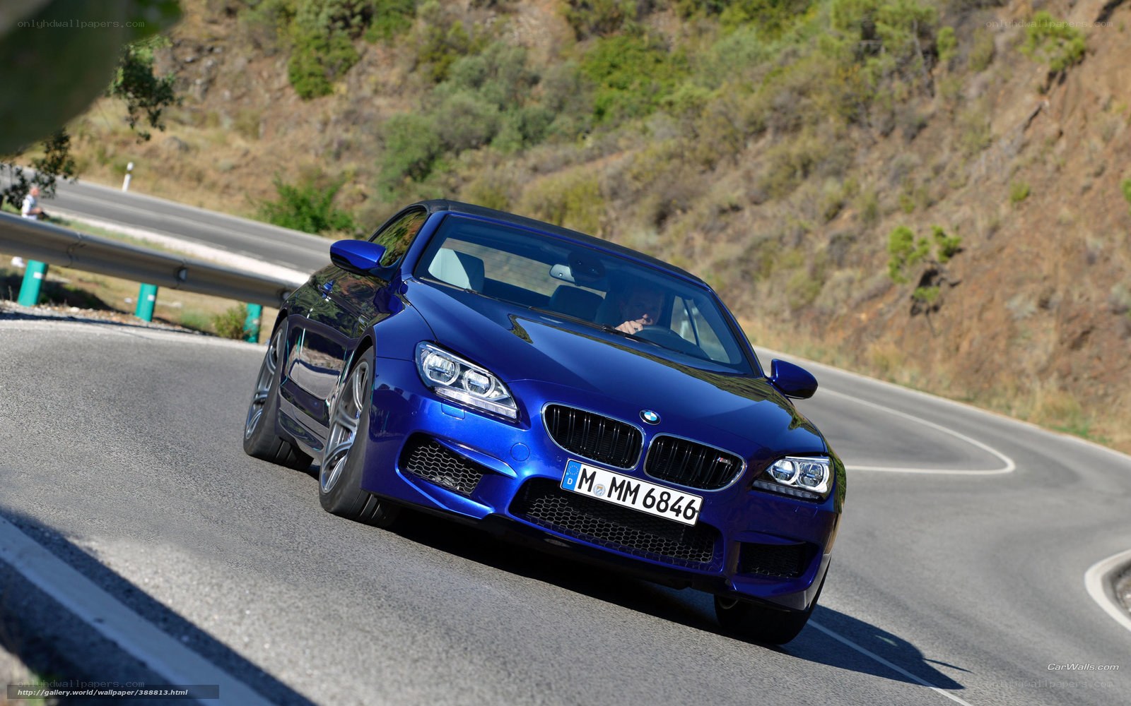 blue bmw m6 on winding road