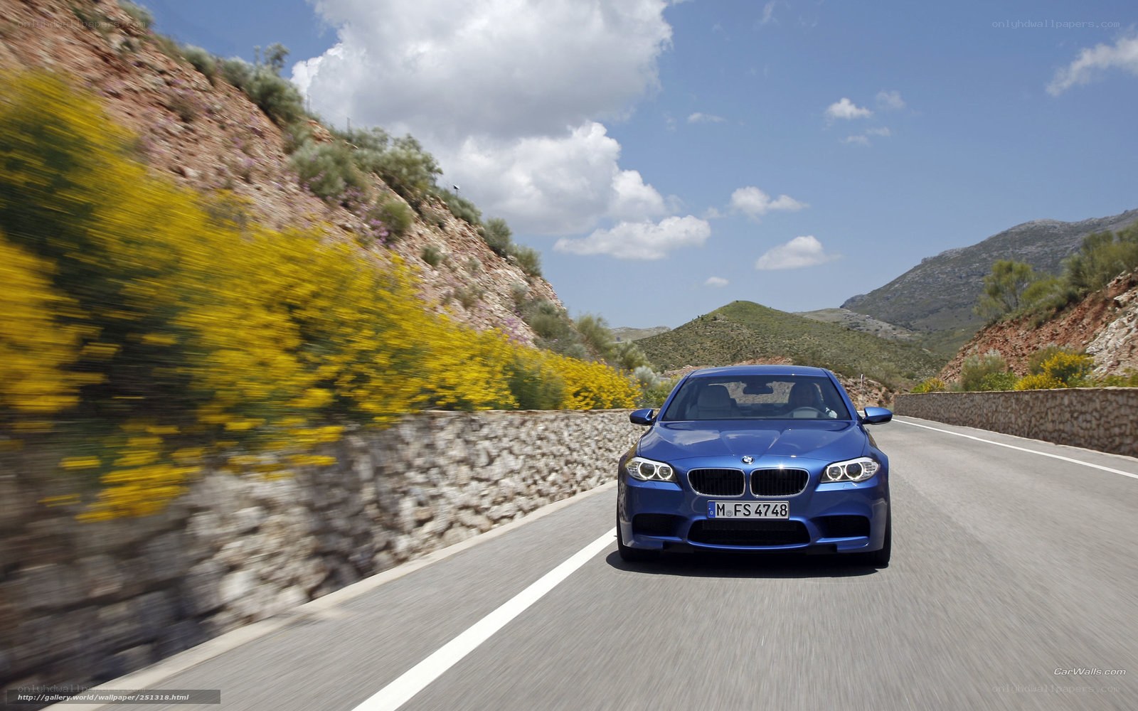 Blue BMW on a mountain road