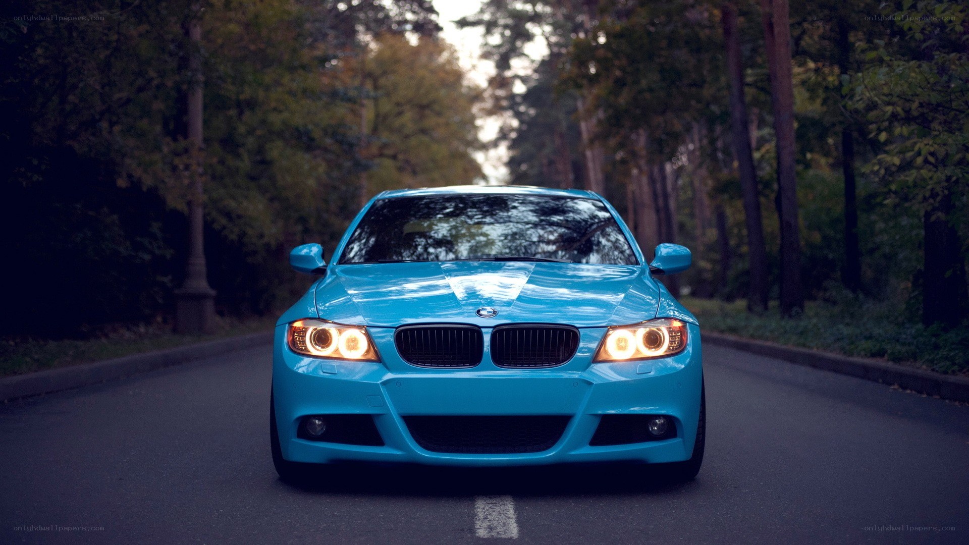 blue bmw on forest road