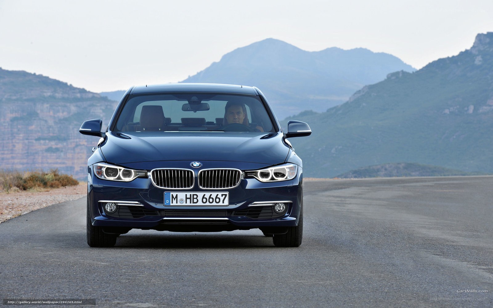 blue bmw on mountain road