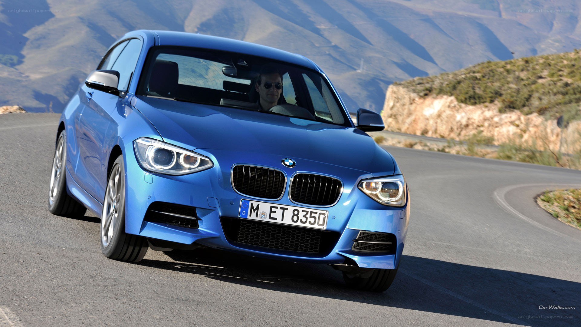 blue bmw on winding road