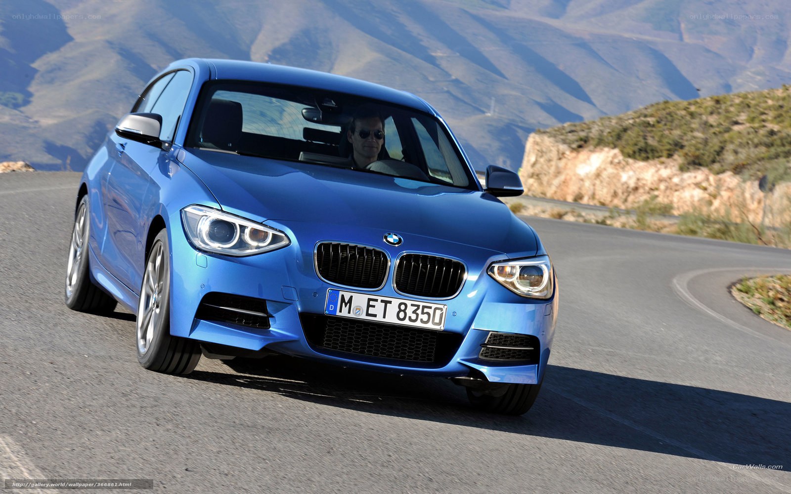 blue bmw on winding road