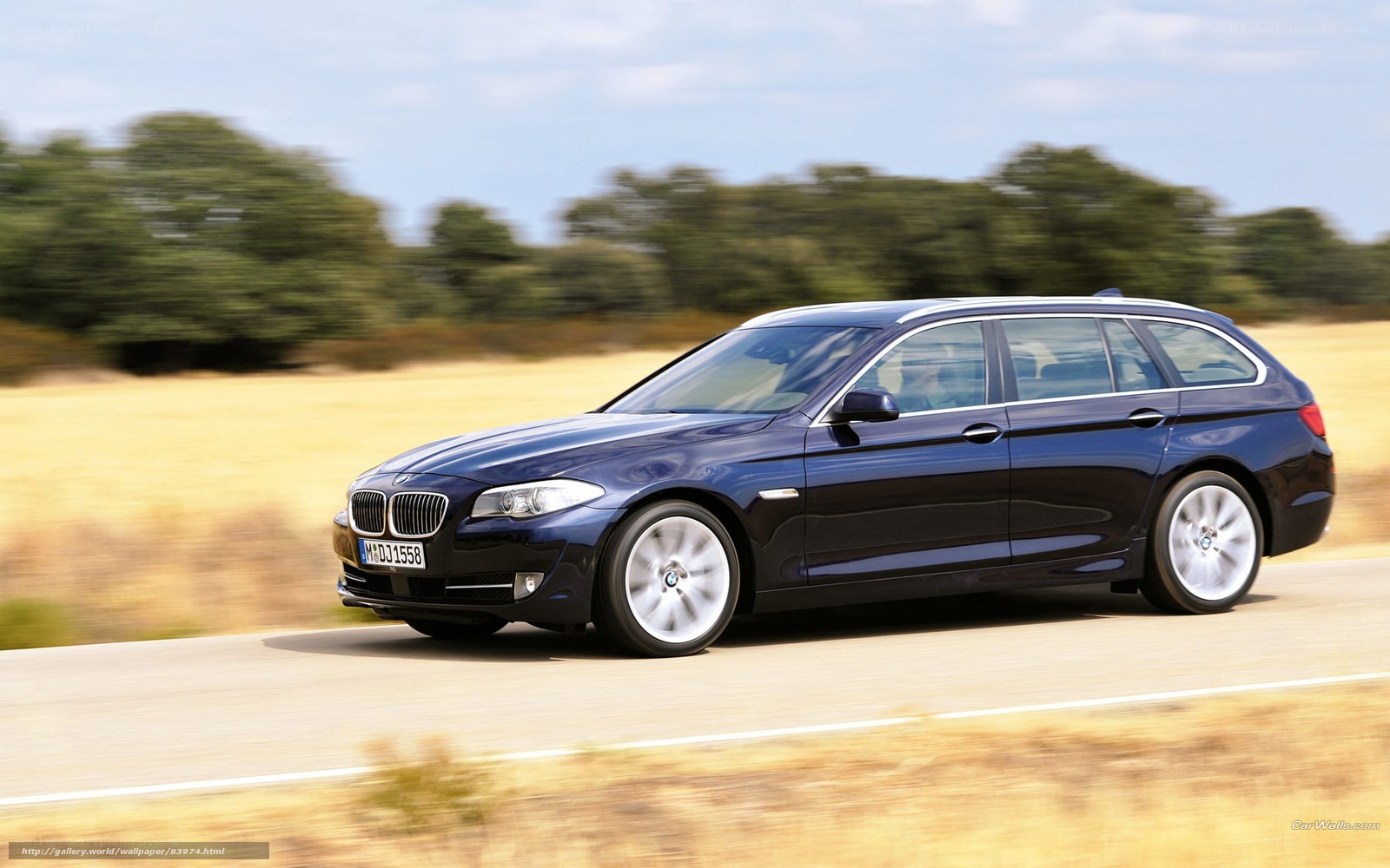 blue bmw station wagon on road