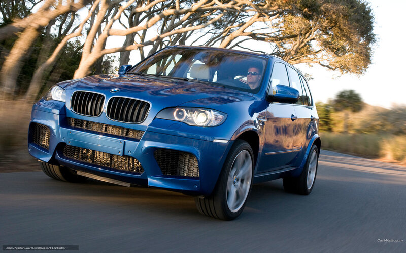 Blue Bmw Suv — Dynamic