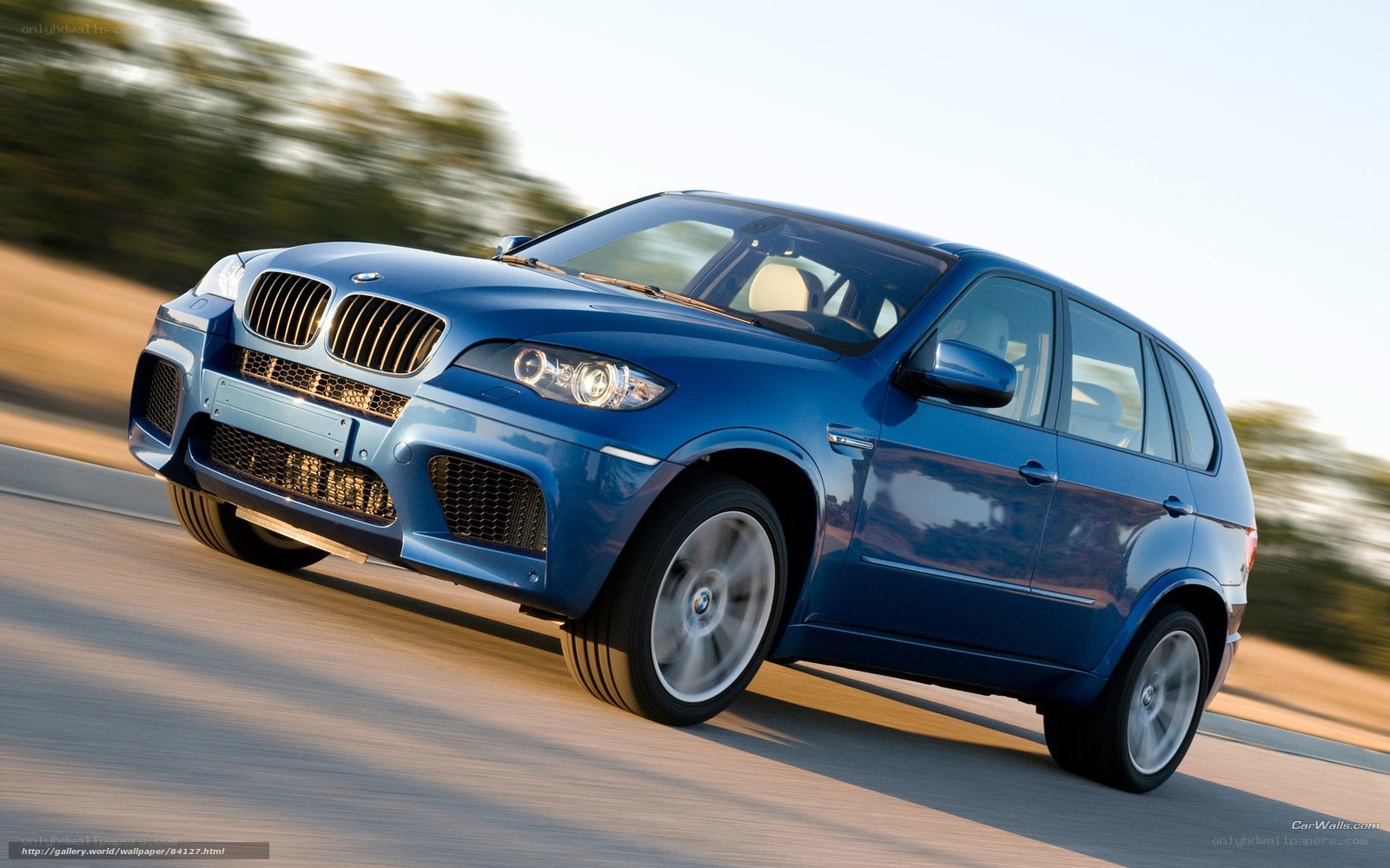 blue bmw suv in motion