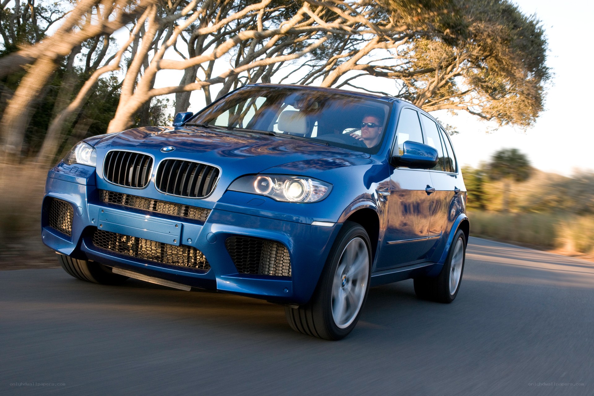 Blue BMW SUV on a road