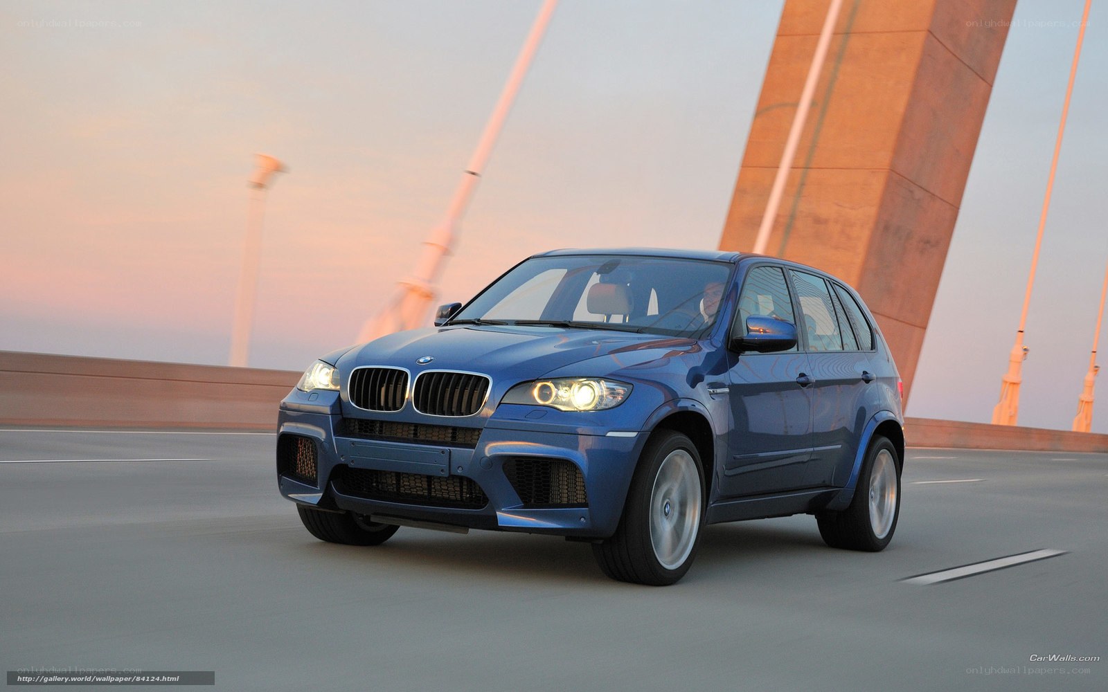 blue bmw suv on bridge
