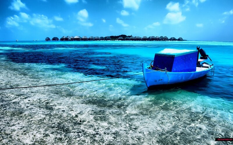 Blue boat at tropical resort