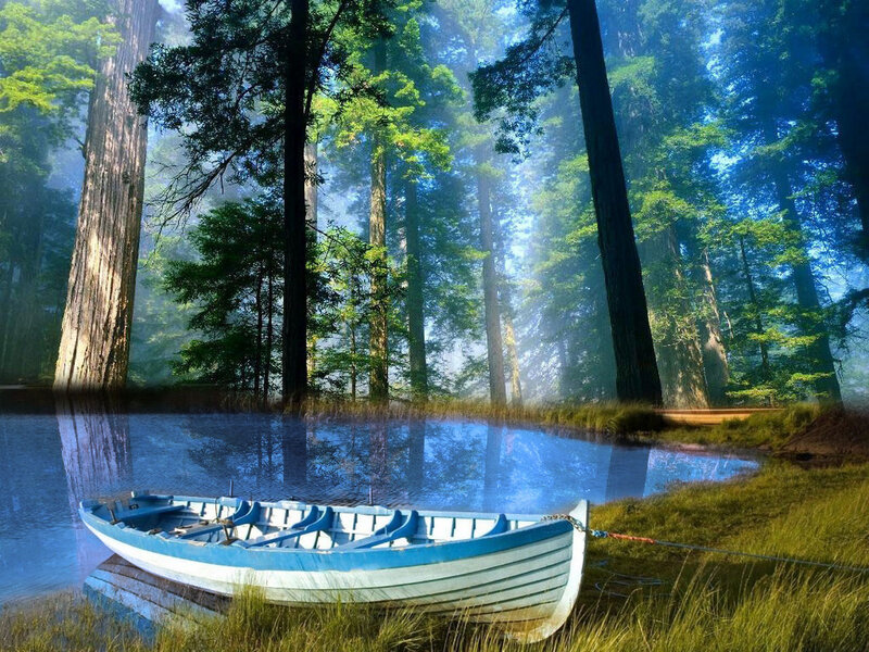 Blue boat in forest lake