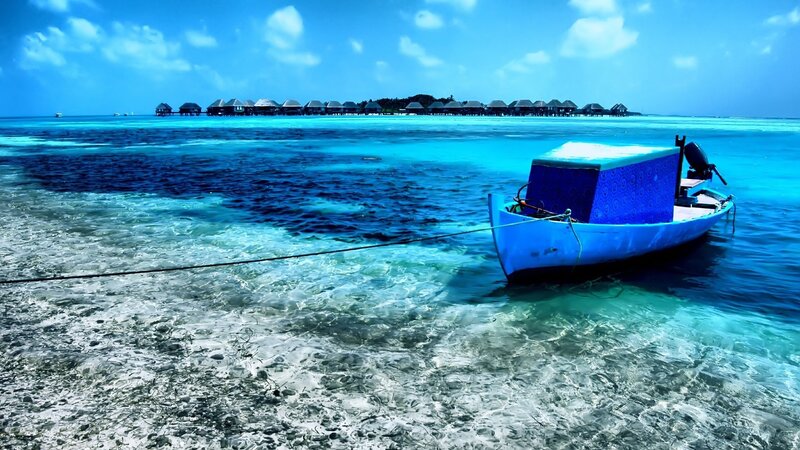 Blue boat near overwater bungalows